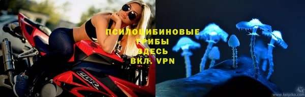 дживик Киренск