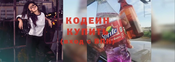 индика Кинешма