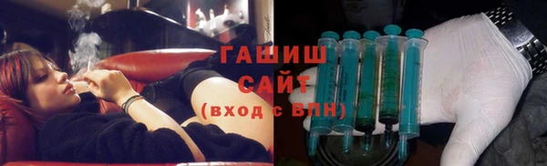 индика Кинешма