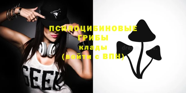 индика Кинешма