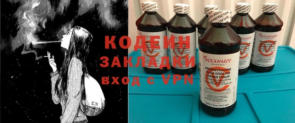 индика Кинешма