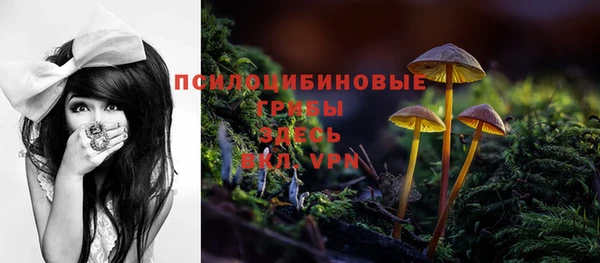 дживик Киренск