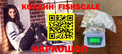 ешки Кингисепп