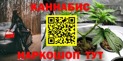 мяу мяу мука Кимры