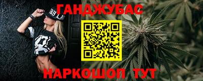 ешки Кингисепп