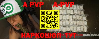 ешки Кингисепп